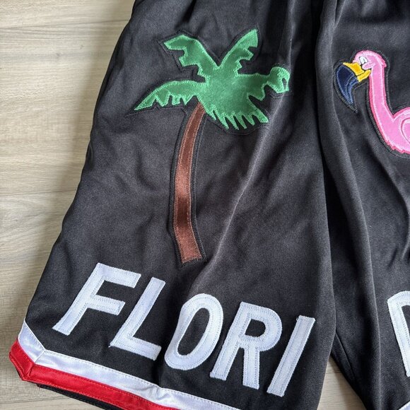 RETRO Mperial Sportswear Floridian Black & Red‎ YOUTH Basketball Shorts Med - Picture 2 of 11